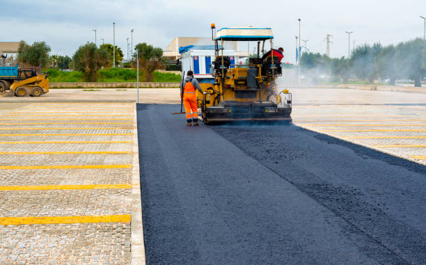 Best Local Driveway Pavers  in Williston, SC