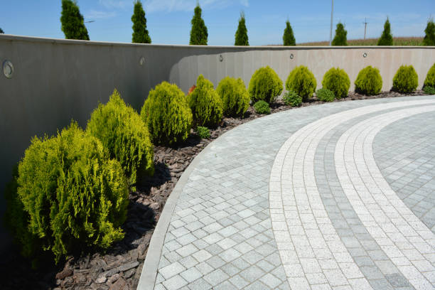 Williston, SC Driveway Pavers Company