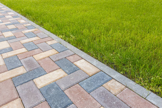 Reasons to Select Us for Your Driveway Paving Requirements in Williston, SC